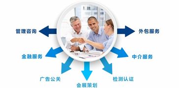 咨詢服務(wù)行業(yè)一體化管理解決方案