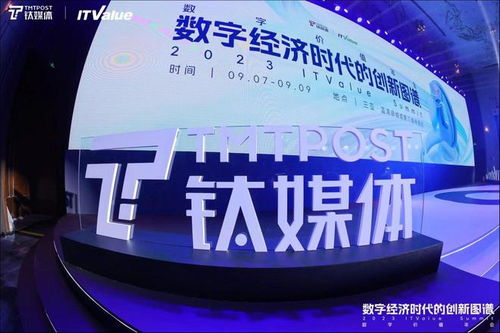 輕松集團馬孝武 商業健康險迎來窗口期,創新才能讓產品脫穎而出 2023 itvalue summit數字價值年會